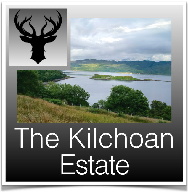 The Kilchoan Estate