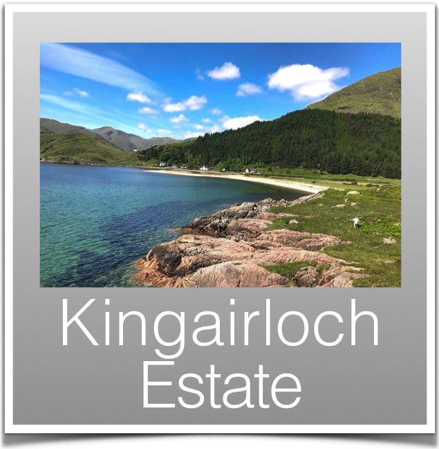 Kingairloch Estate