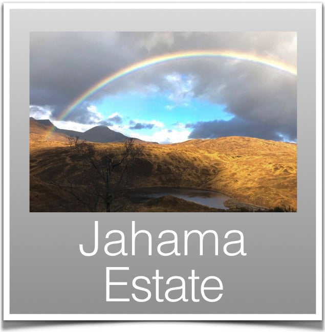 Jahama Estate