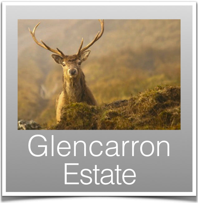 Glencarron Estate