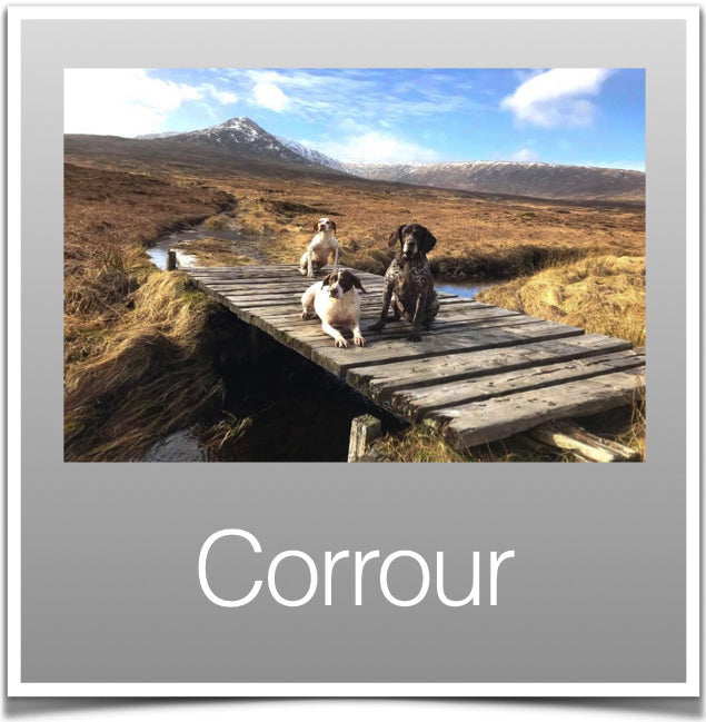 Corrour 