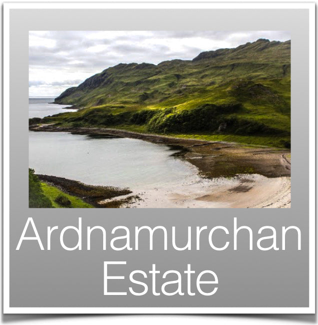 Ardnamurchan Estate