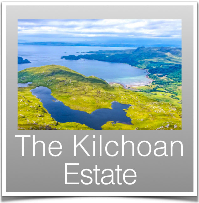 The Kilchoan Estate