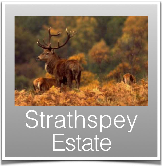 Strathspey Estate