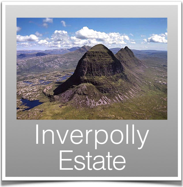 Inverpolly Estate