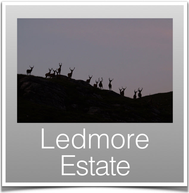 Ledmore Estate