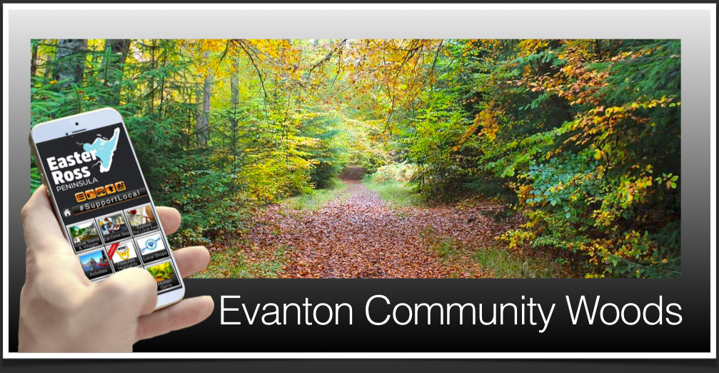 Evanton Community Woods image