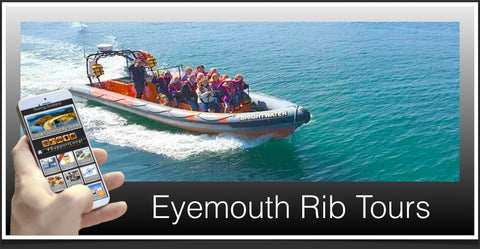 Eyemouth Rib tours image