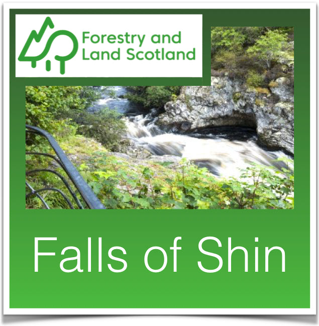 Falls of Shin