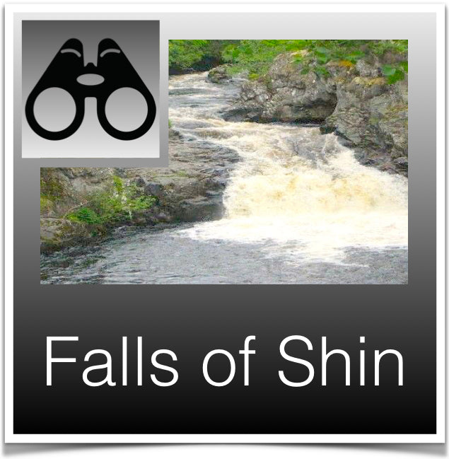 Falls of Shin