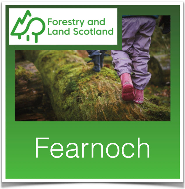 Fearnoch