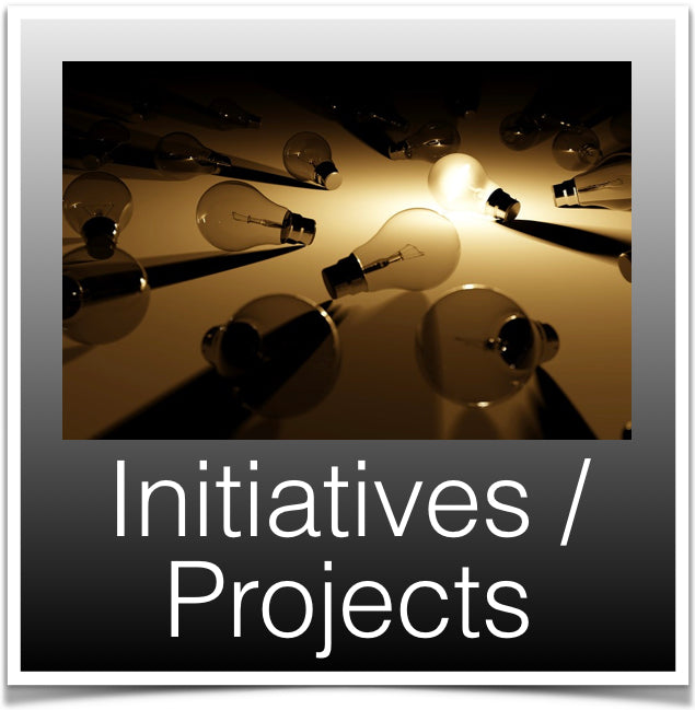 Initiatives / Projects