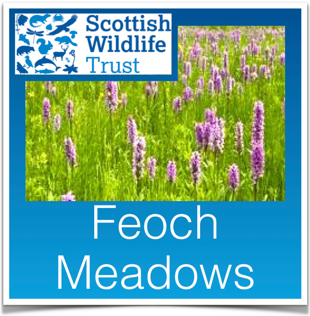 Feoch Meadows