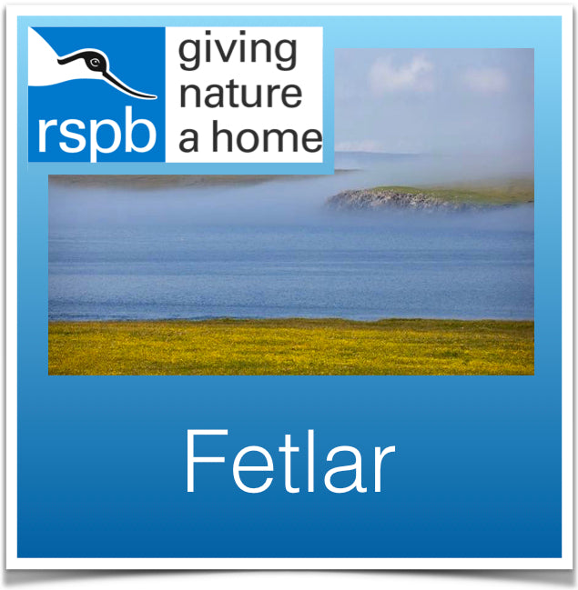 Fetlar