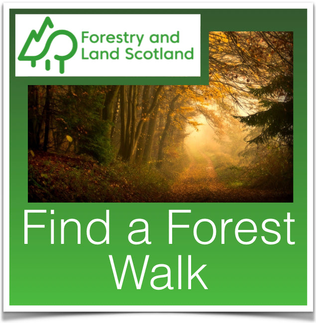 Find a Forest Walk