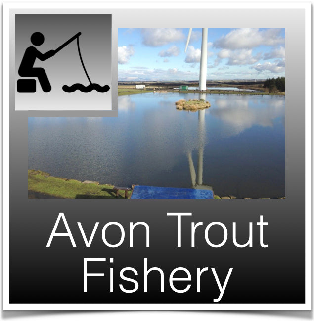 Avon Trout Fishery