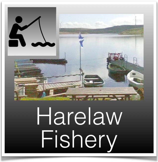 Harelaw