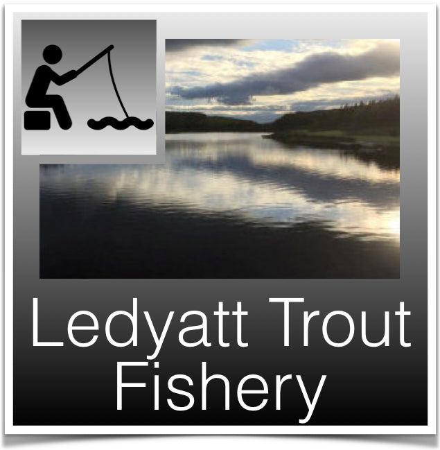 Ledyatt Trout Fishery