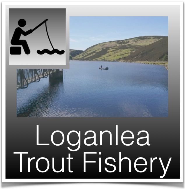 Loganlea Trout Fishery