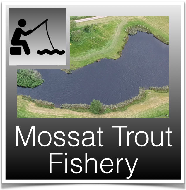 Mossat Trout Fishery