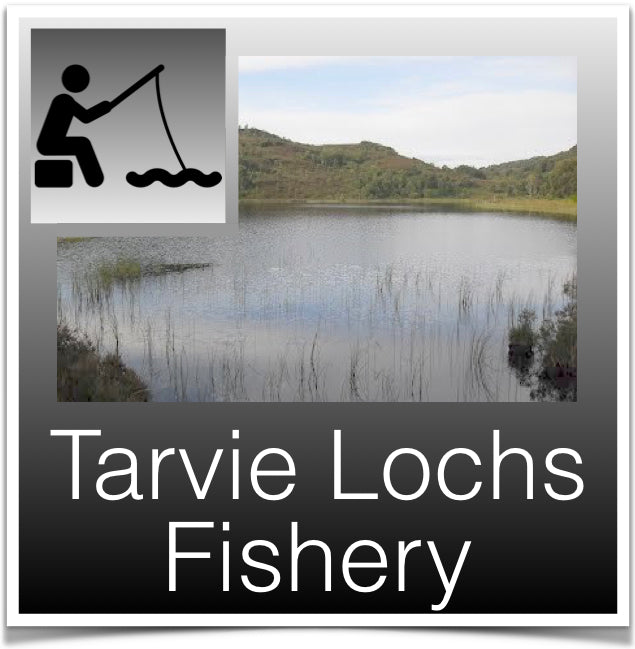 Tarvie Lochs