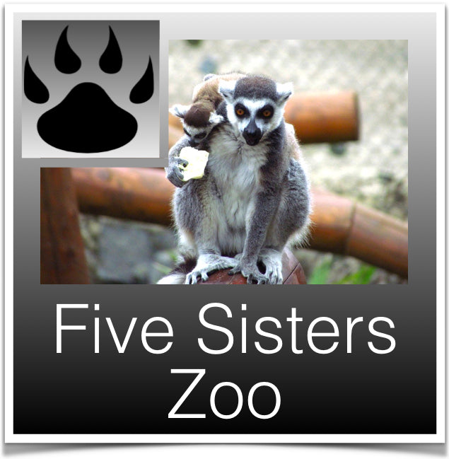 Five Sistrs Zoo Image