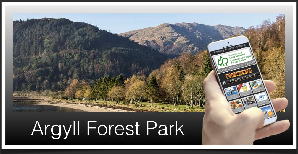 Argyll Forest Park