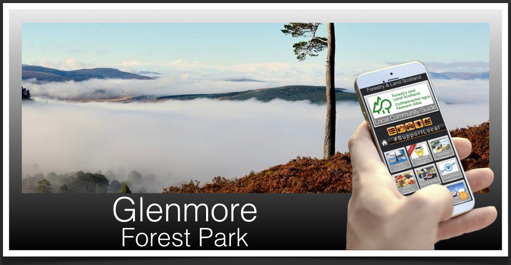 Glenmore Forest Park