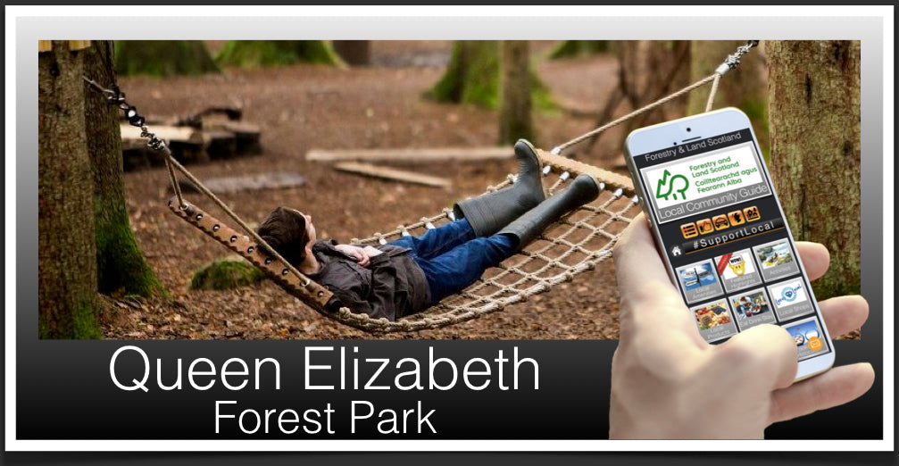 Queen Elizabeth forest Park image