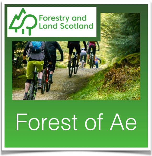 Forest of Ae