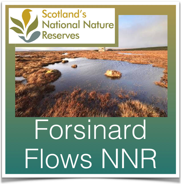 Forsinard Flows NNR