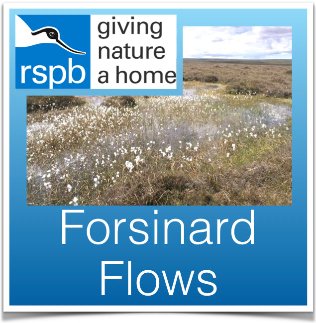 Forsinard Flows RSPB