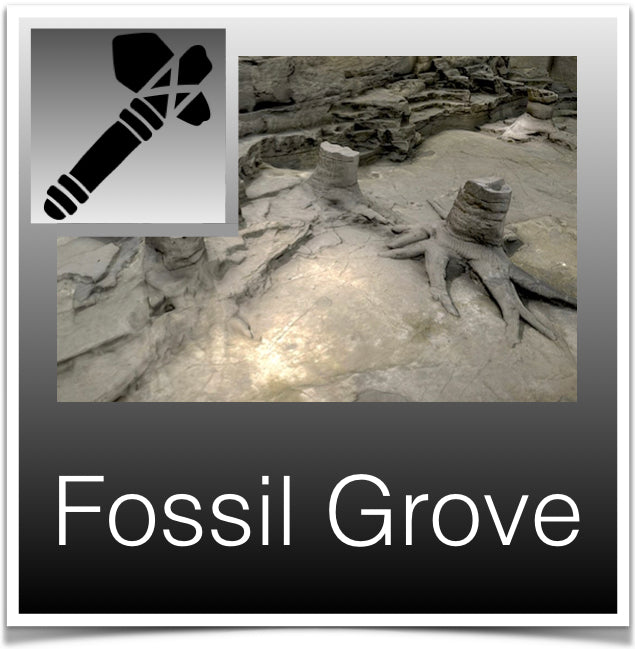 Fossil Grove