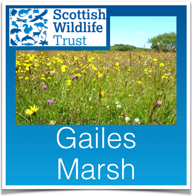 Gailes Marsh Image
