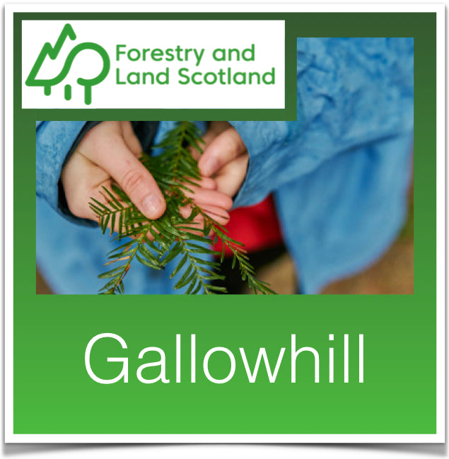 Gallowhill