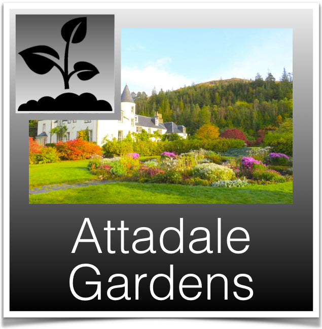 Attadale Gardens