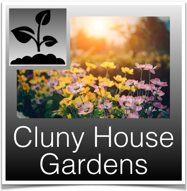 Cluny House Gardens