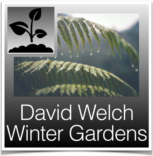 David Welch Winter Gardens