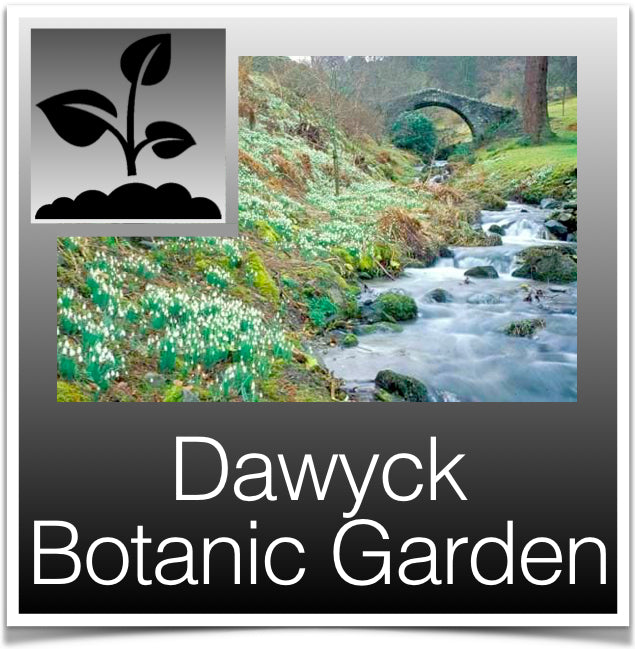 Dawyck Botanic Garden