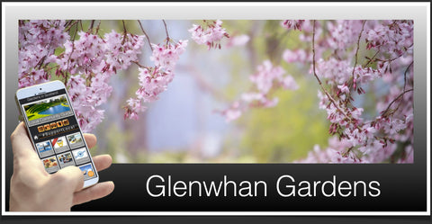 Glenwhan Gardens