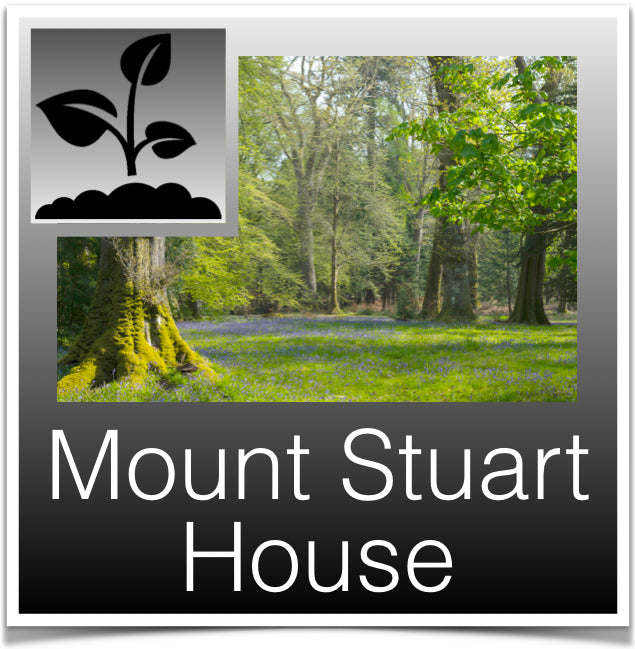Mount Stuart House