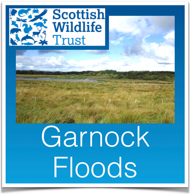 Garnock Floods