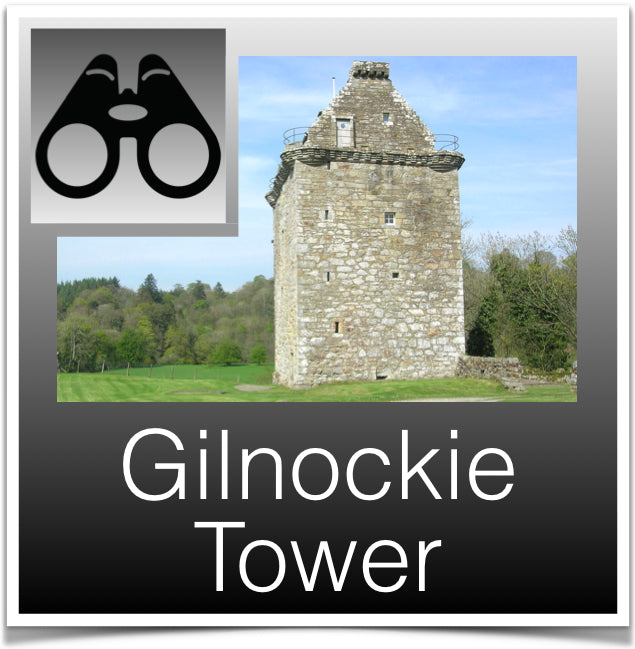 Gilnockie Tower