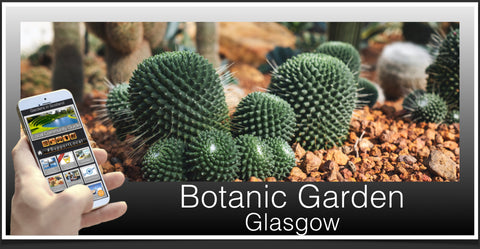 Glasgow Botanic image