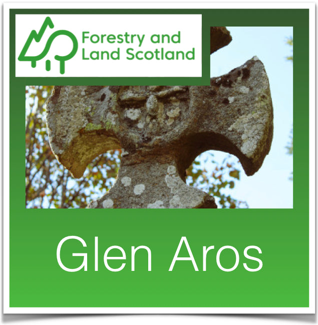 Glen Aros