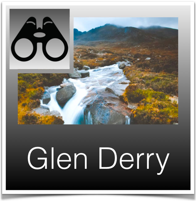 Glen Derry