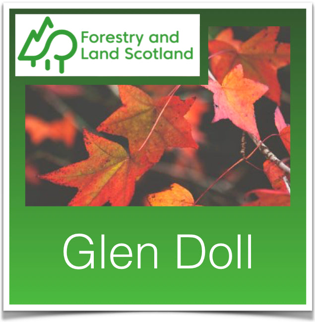 Glen Doll