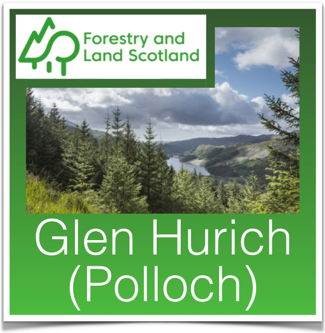 Glen Hurich (Polloch)