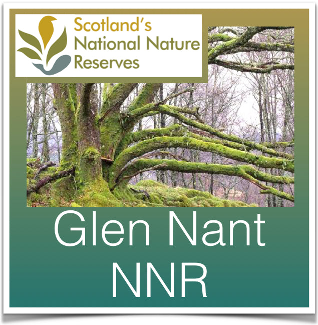 Glen Nant