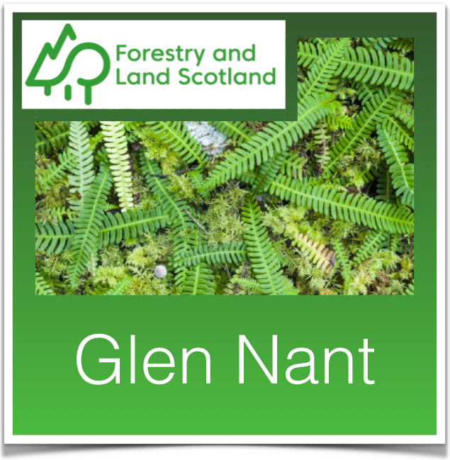 Glen Nant